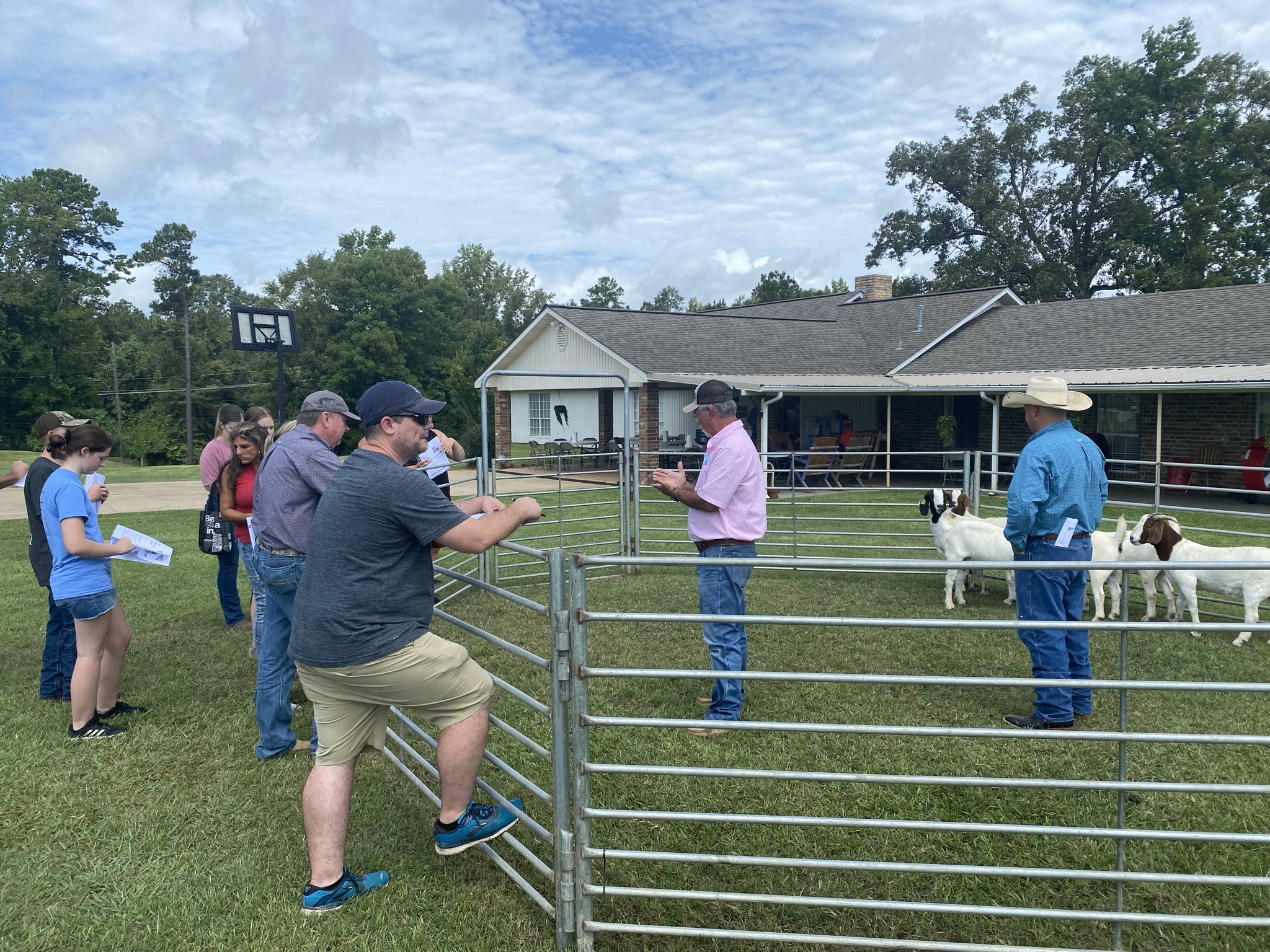 Two men stand inside an enclosure with goats and speak to people outside the enclosure.